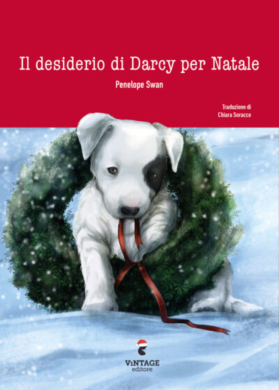 Il desiderio Darcy per Natale